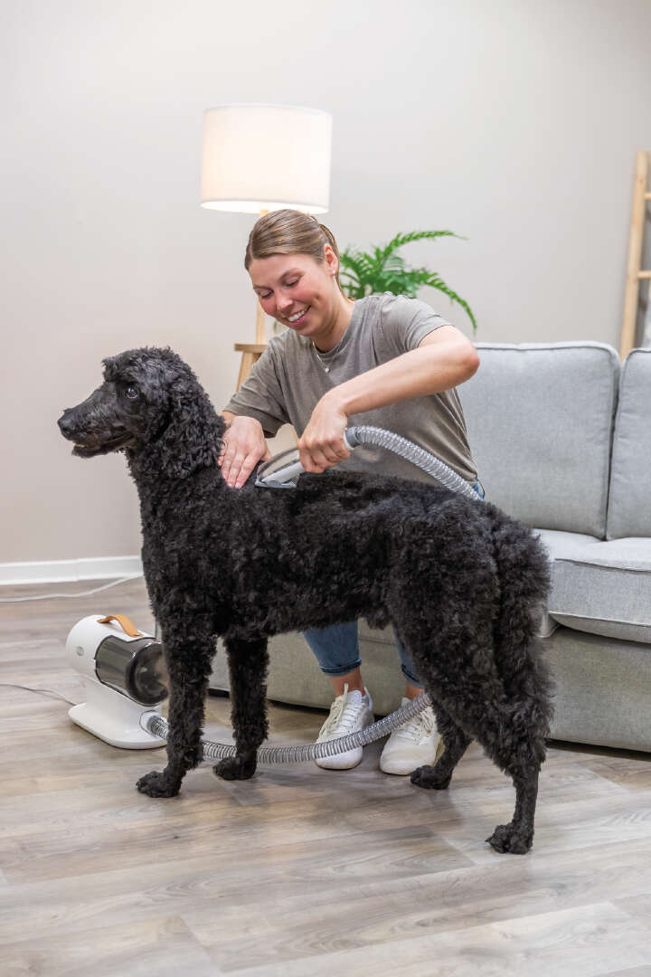 TRIXIE Schermaschinenset mit Fellsauger